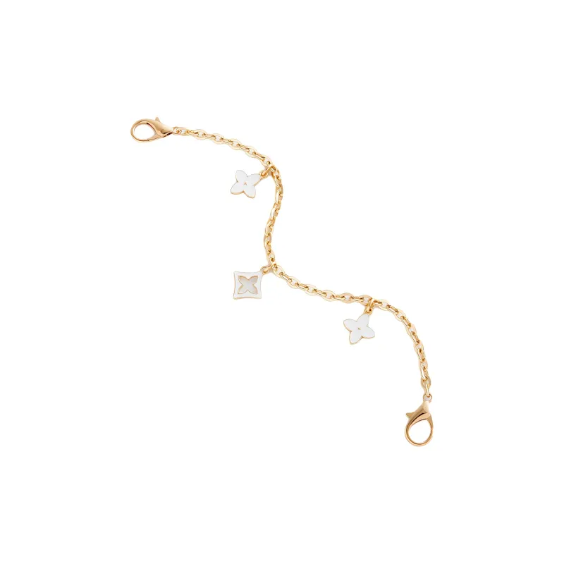 Metal Bag Strap Women's Gold Tone-4