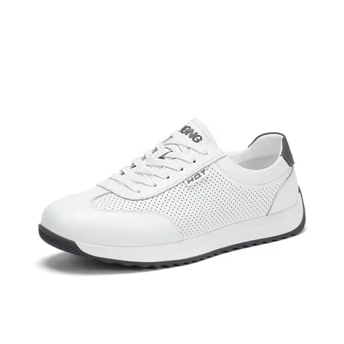 RED DRAGONFLY Men's Trendy Casual Shoes For Every Occasion Men's Comfortable Low Top