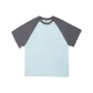 Gray Blue