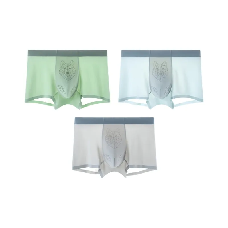 DAFENQIMIMA Underpants Men's 3 Pack-6