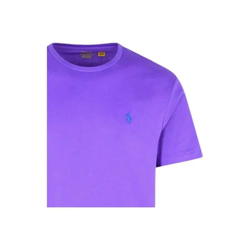 Polo Ralph Lauren Logo Embroidered Crewneck T Shirt-3