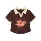 American Brown & Apricot Collar