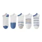 Multicolor Wide Stripe Ankle Socks