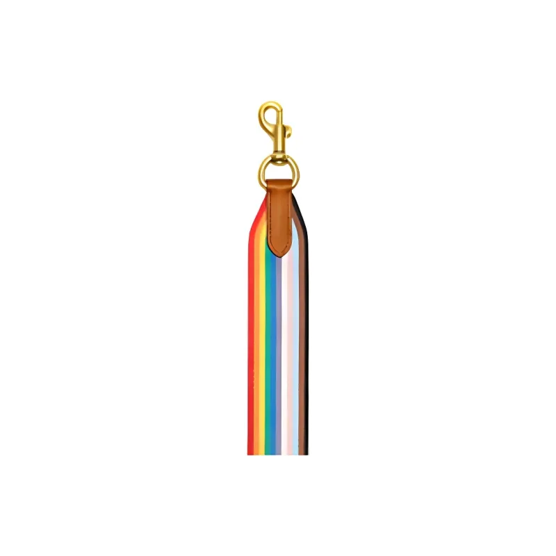 COACH Straps Canvas Bag Accessory Bag Strap Unisex Rainbow-2