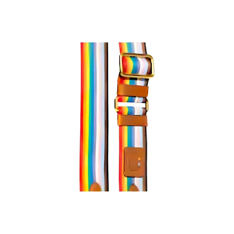 COACH Straps Canvas Bag Accessory Bag Strap Unisex Rainbow-3