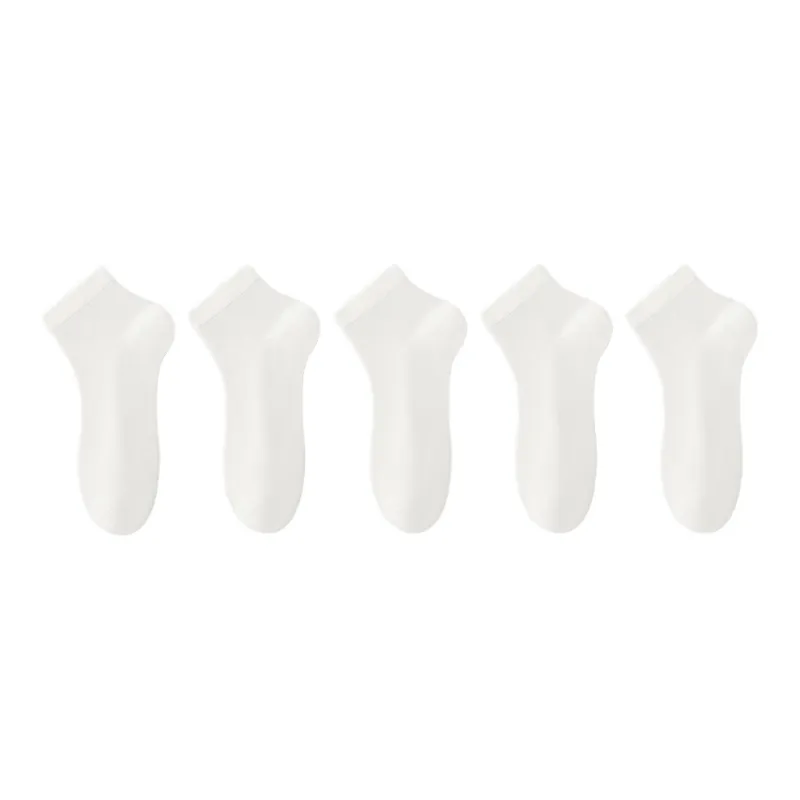 Beerus Mid Calf Socks Women's 5 Pack-8