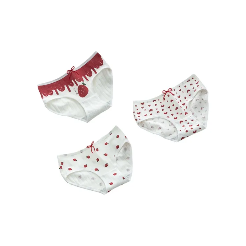 Gentle Welcome Underpants Women's 3 Pack-10