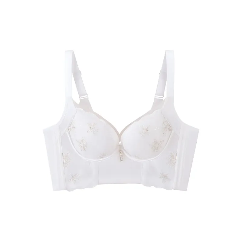 MY BODY Women's Bras-0