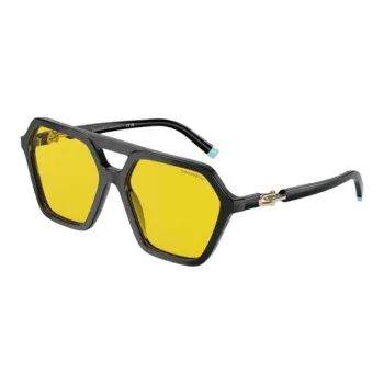 TIFFANY & CO. Acetate Butterfly Sunglasses Women's Black
