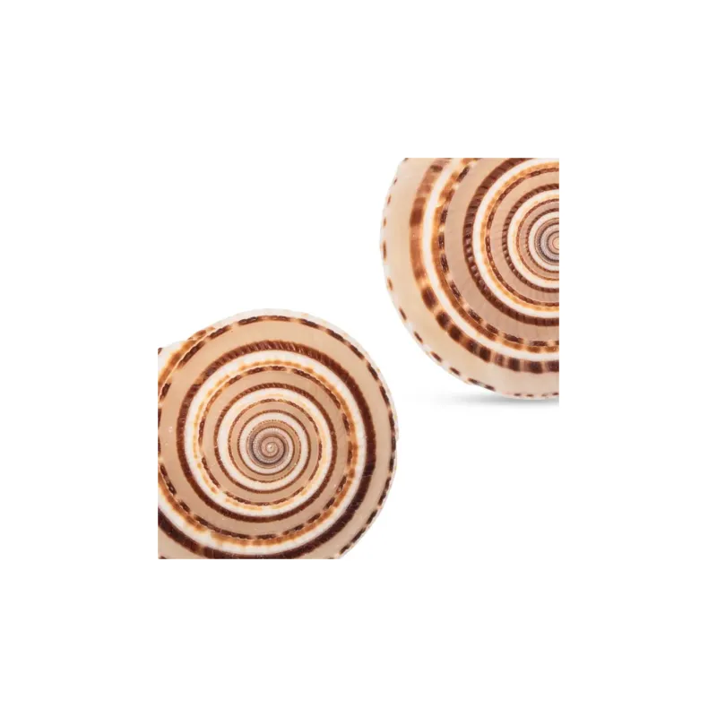 Jennifer Behr Perrin Earrings-1