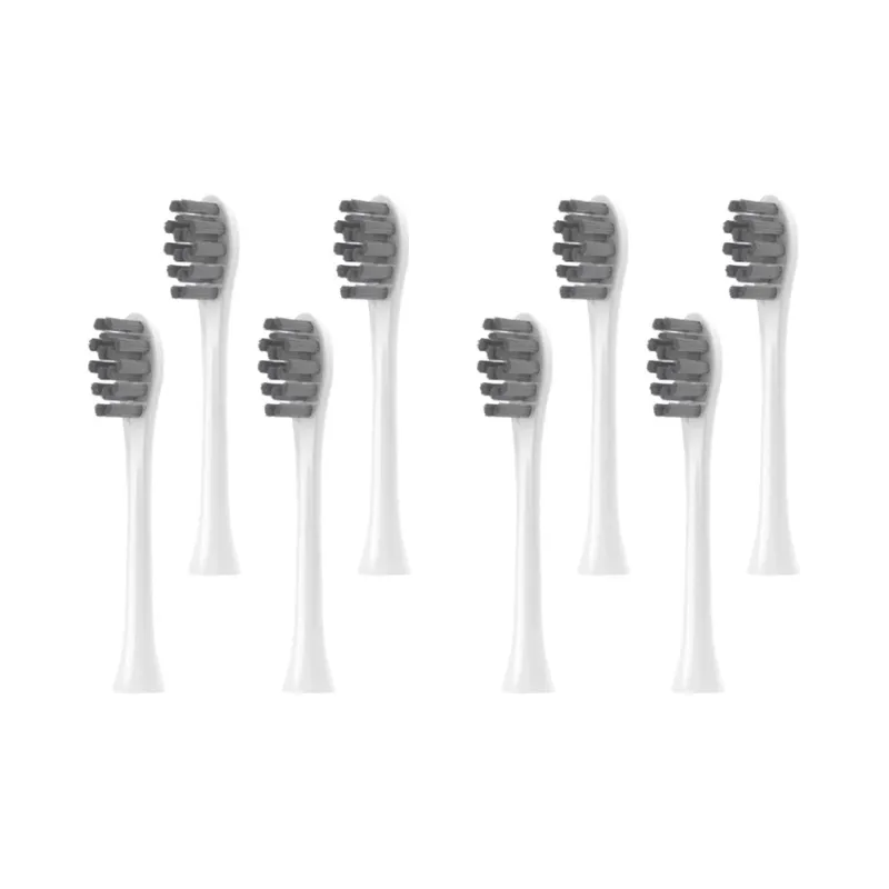 Fly Toothbrush Heads-2