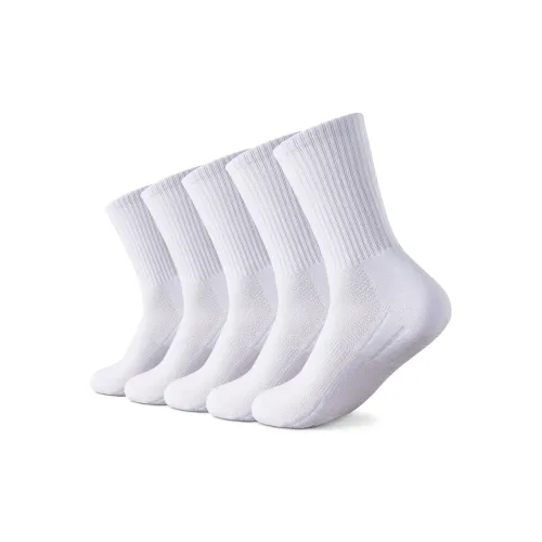 Caramella Knee High Socks Unisex 5 Pack