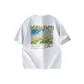 White Heather Gray