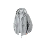 Light Gray