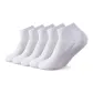 White-Short 5 Pack