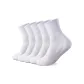 White-Crew 5 Pack