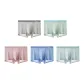 Wooden Charm Umber+Mossy Morning Dew++Peach Blossom+Stream-Side Blue+Winter Pine
