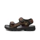 Coffee Brown