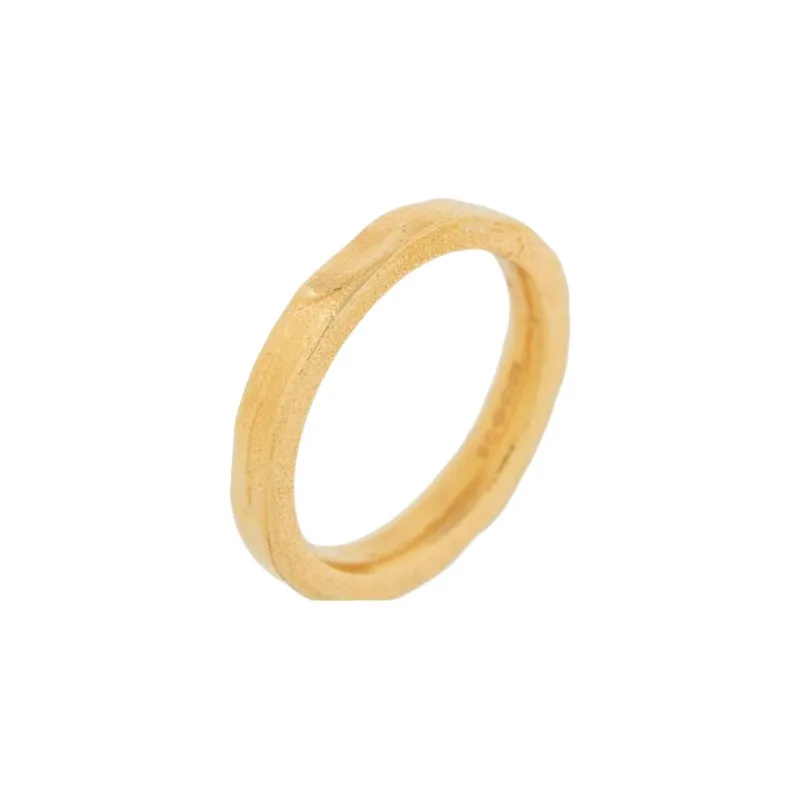 Alighieri Stainless Steel Rings Women's Gold-1