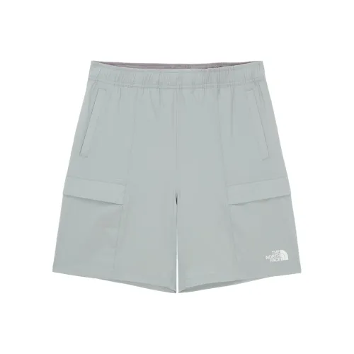 THE NORTH FACE Casual Shorts Men's Cool Gray