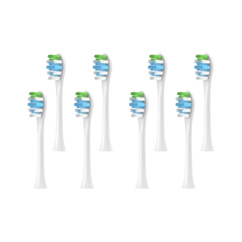 Fly Toothbrush Heads-4