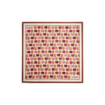 COACH Silk Scarves Women's Brown