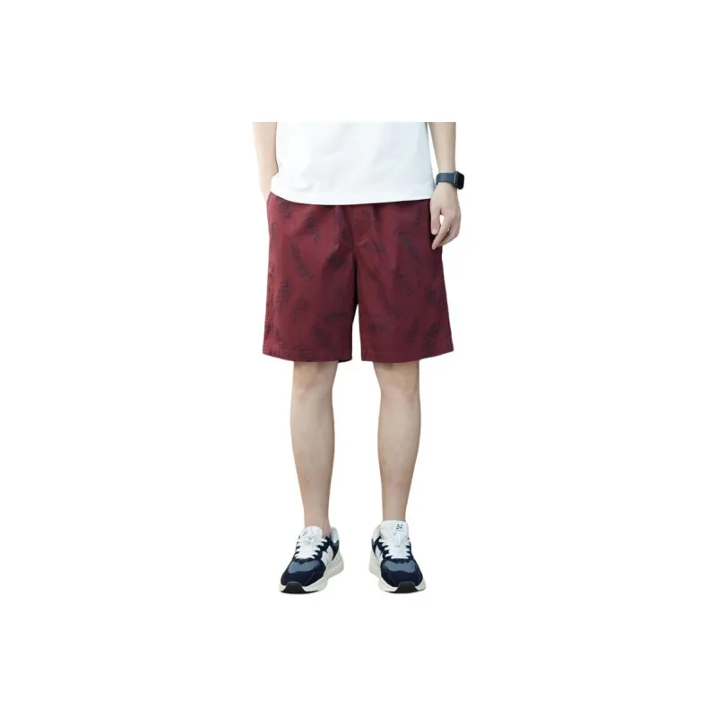 PIERRE CARDIN Casual Shorts Men's-0
