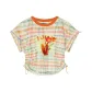 Fox Rainbow Plaid