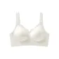 Coconut Milk White