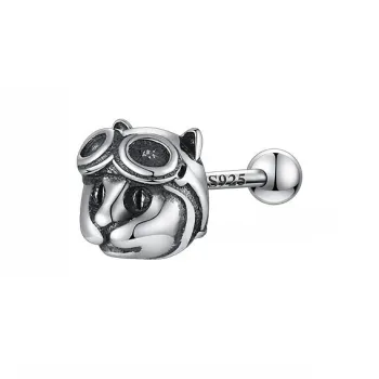 ZWU 925 Sterling Silver Stud Earrings Unisex