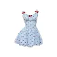 Blue checkered dress