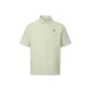 Gray Green