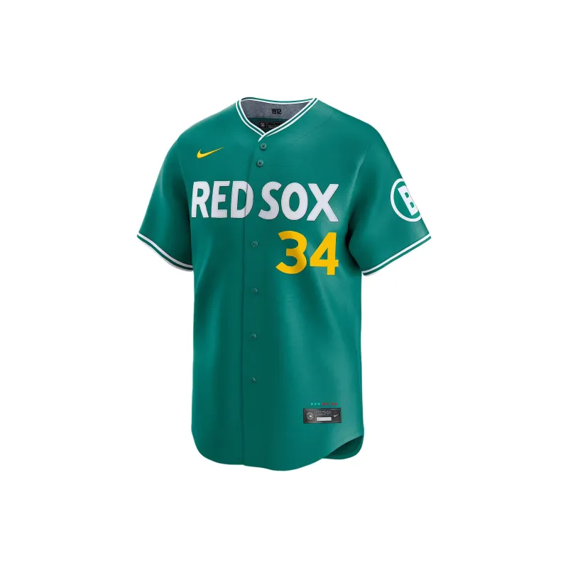 Nike David Ortiz Boston Red Sox City Connect Men's Nike Dri FIT Adv Mlb Limited Jersey-0