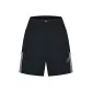Obsidian Black