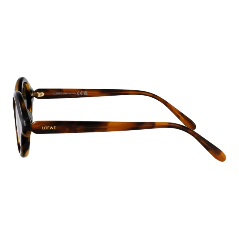 LOEWE Plastic Oval Sunglasses Men's Brown-1