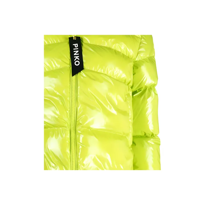 PINKO Mock-neck Puffer Jacket-4