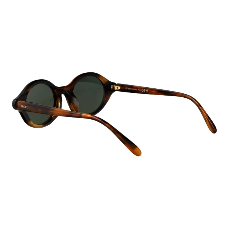 LOEWE Plastic Oval Sunglasses Men's Brown-3