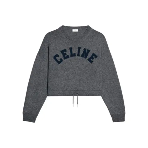 CELINE FW22 Sweatshirt Women's Gray