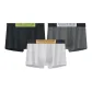 Dark Domain Black, Mechanic Silver, Dark Gray