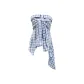 Blue Plaid
