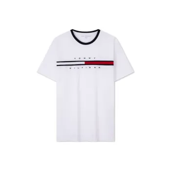 Tommy Hilfiger T Shirts Men