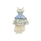 Blue Dress with Skirt Train