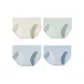 4 Pack (Light Yellow+Green+Light Blue+Blue)