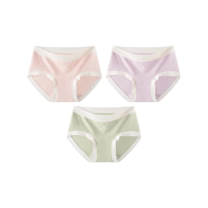2323 Underpants Women's Combo Set-5