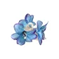 Eastern Blue Lily Floral Claw Clip