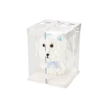 Shame Gift Box Sets