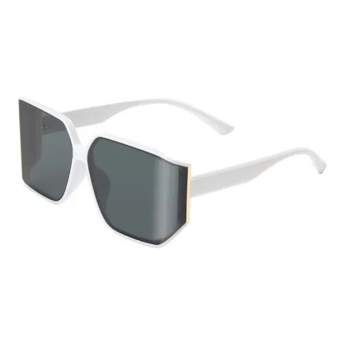 PSACSS PC Irregular Shape Sunglasses Unisex
