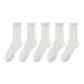 Milk White *3+White *2