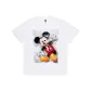 White Short-Sleeved Shirt