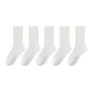 5 Pack (Cream White 5)